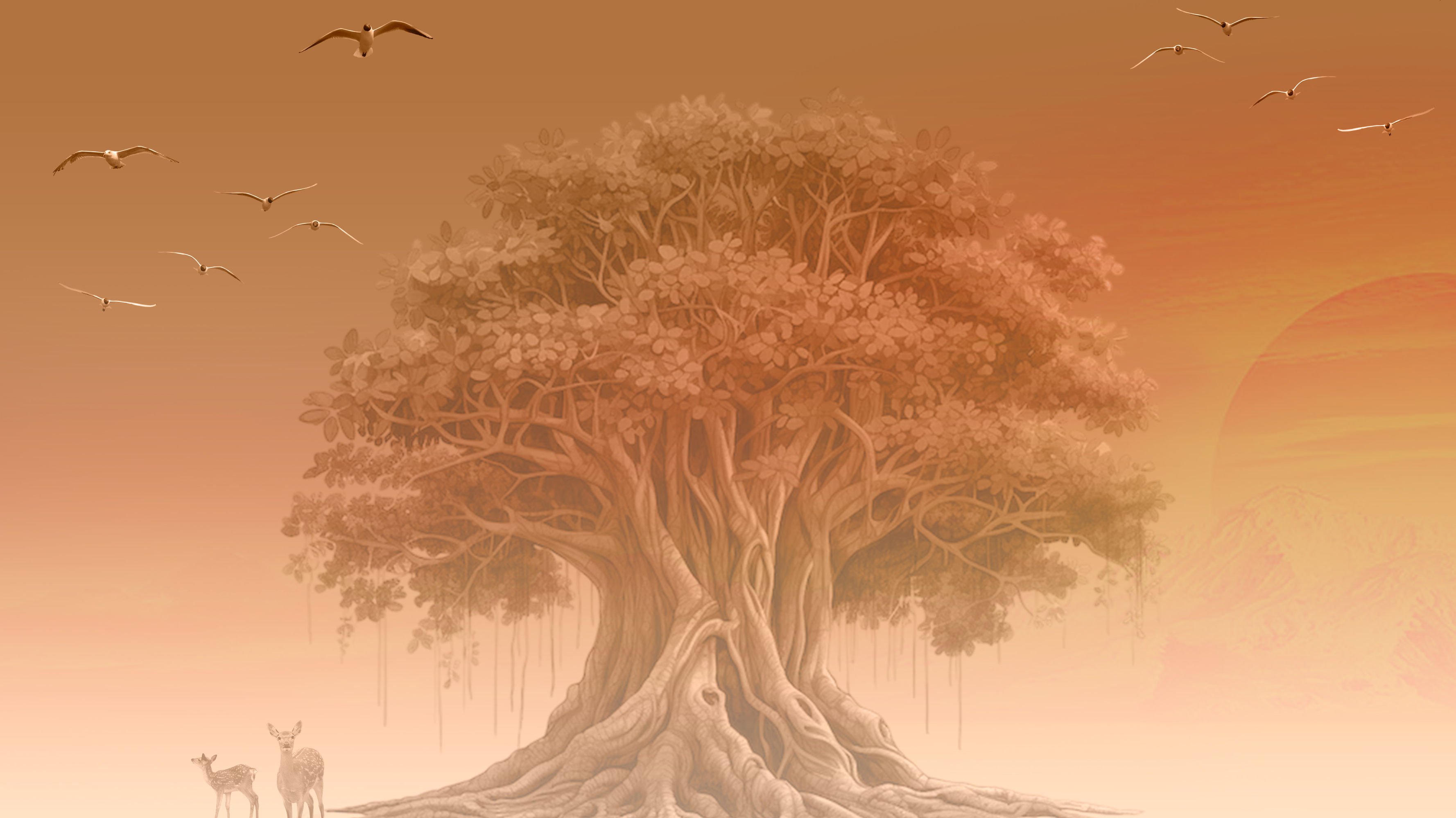 Webiste banner