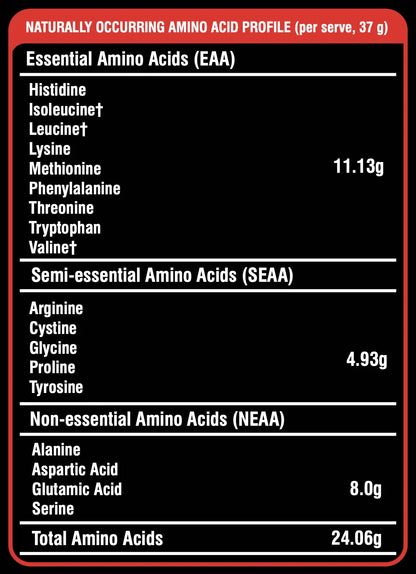 Yeast Protein – Rich Double Chocolate | Natural Plant Protein Powder, No Added Sugar